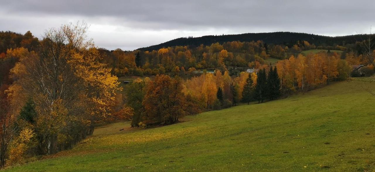 Hotel Zlaty Potok Nicov  Dış mekan fotoğraf