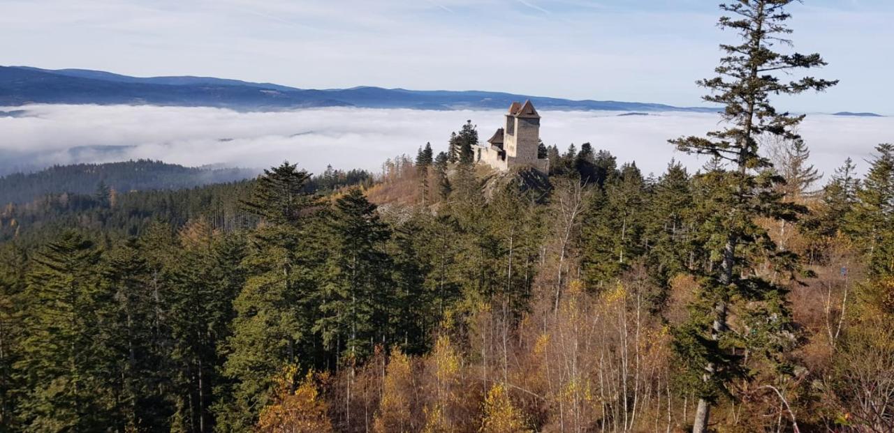 Hotel Zlaty Potok Nicov  Dış mekan fotoğraf