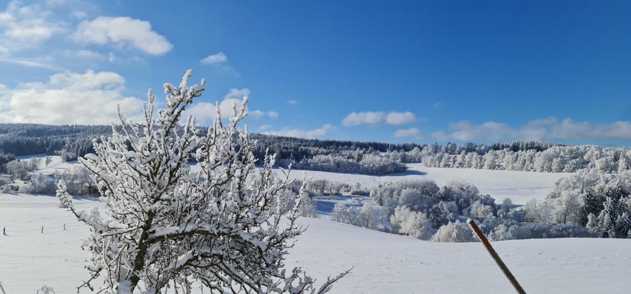 Hotel Zlaty Potok Nicov  Dış mekan fotoğraf